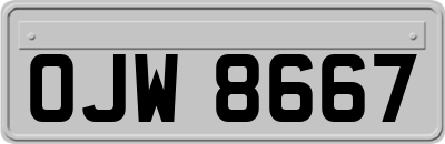 OJW8667