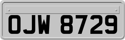 OJW8729