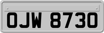 OJW8730