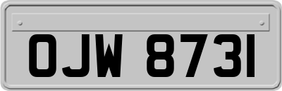 OJW8731