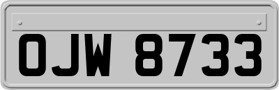 OJW8733