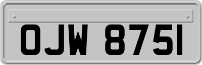 OJW8751