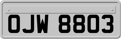 OJW8803