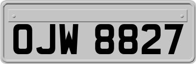 OJW8827