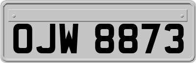 OJW8873