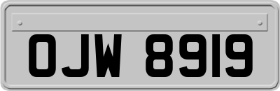 OJW8919