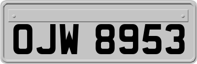 OJW8953