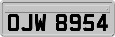 OJW8954