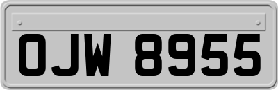 OJW8955