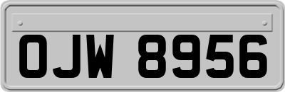 OJW8956