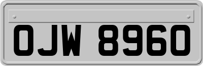 OJW8960