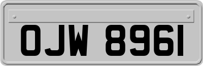 OJW8961