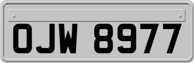 OJW8977