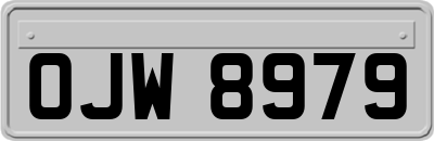OJW8979