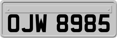 OJW8985