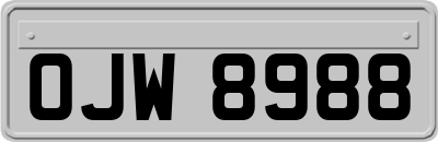 OJW8988