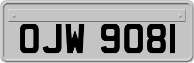 OJW9081