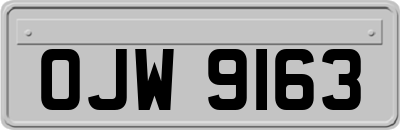 OJW9163
