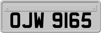 OJW9165