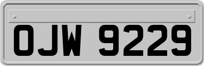 OJW9229