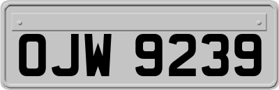 OJW9239