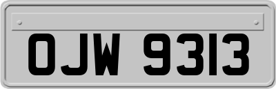 OJW9313