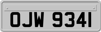 OJW9341