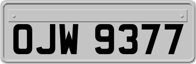 OJW9377