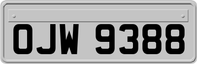 OJW9388