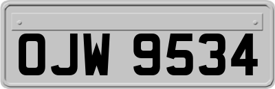 OJW9534