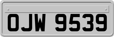 OJW9539