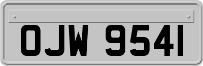 OJW9541