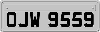 OJW9559