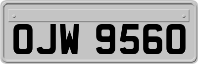 OJW9560