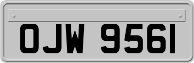 OJW9561