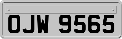 OJW9565