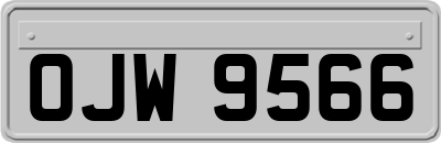 OJW9566