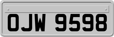 OJW9598