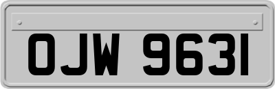 OJW9631