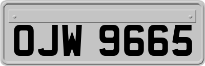 OJW9665