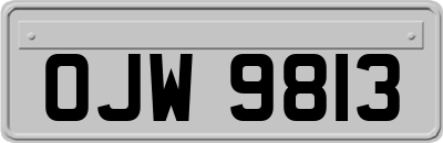 OJW9813