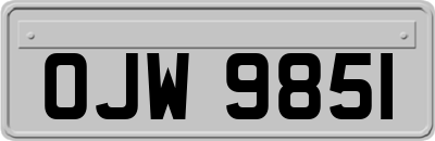 OJW9851