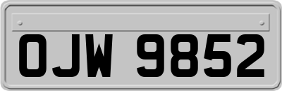 OJW9852
