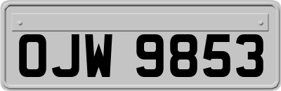 OJW9853