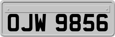OJW9856