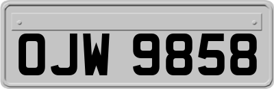 OJW9858