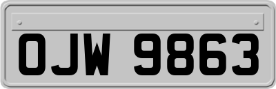 OJW9863