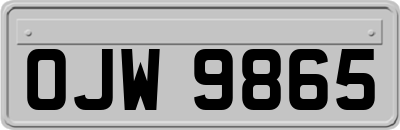 OJW9865