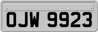 OJW9923