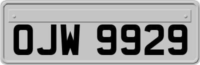 OJW9929